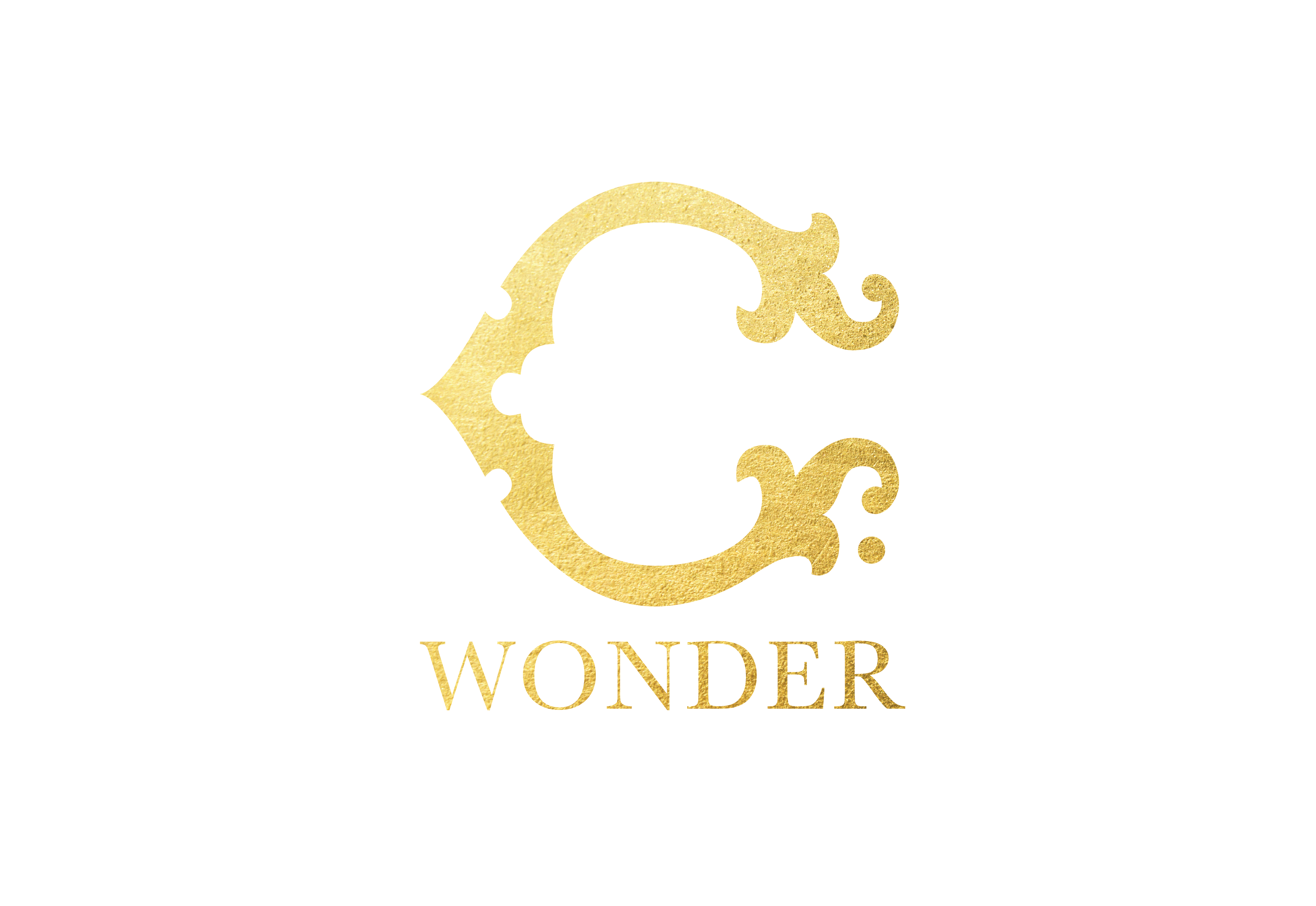 C. Wonder logo